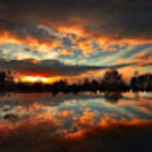 Meet your Posher, Kara